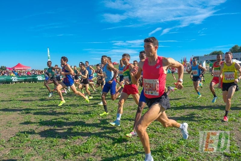 Horario y dónde ver en TV el Cross Internacional de Itálica 2024