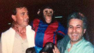 El mono gafe del Barcelona en la Champions League, famoso en Sevilla