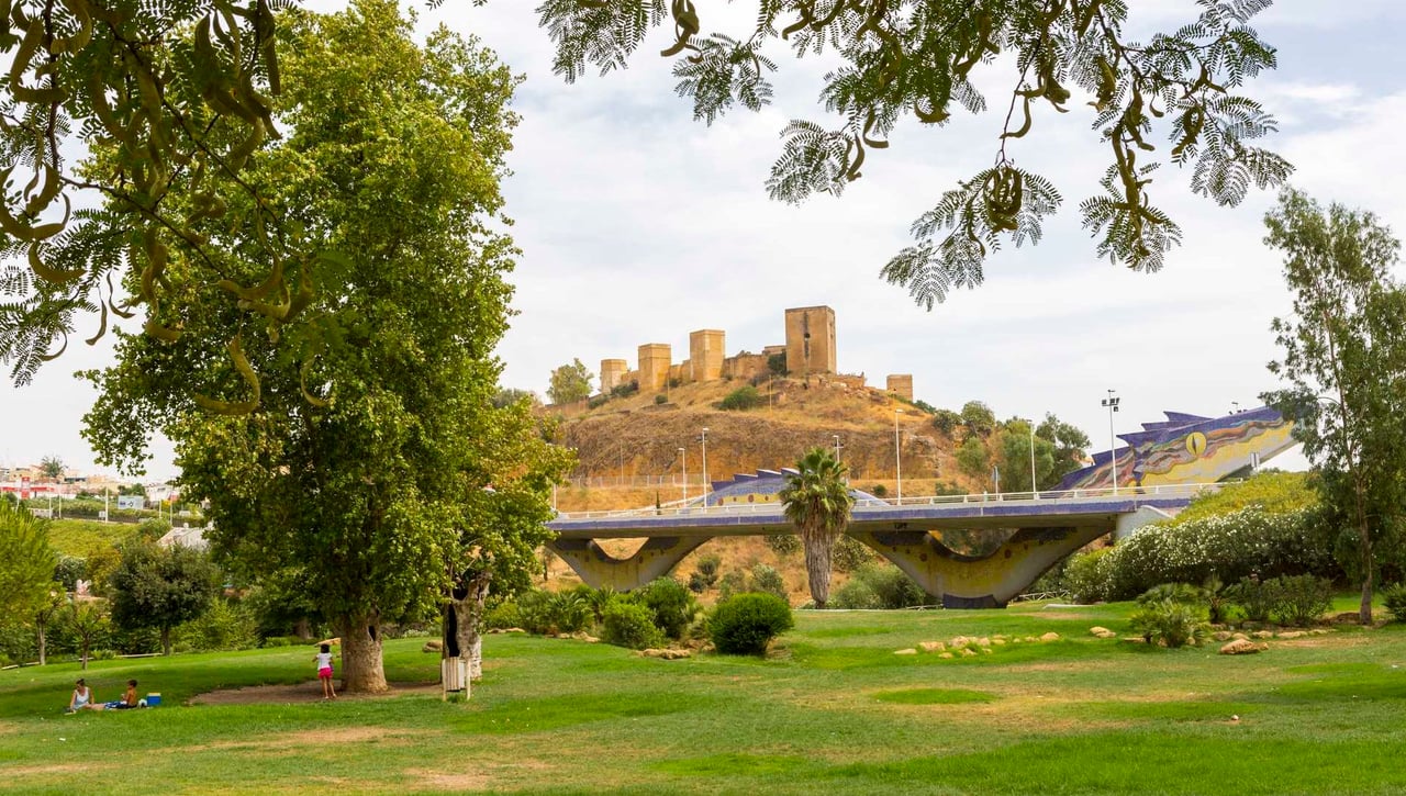 Alcalá de Guadaíra baja el telón del Campo a Través una semana después