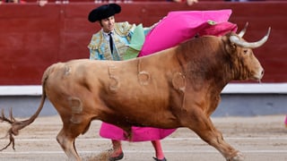 El Gobierno pone fin a los toros y la tauromaquia