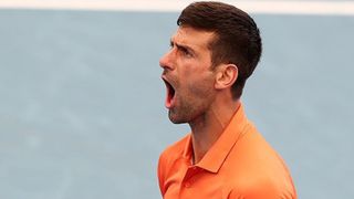 Duro palo para un Djokovic que redefine su futuro