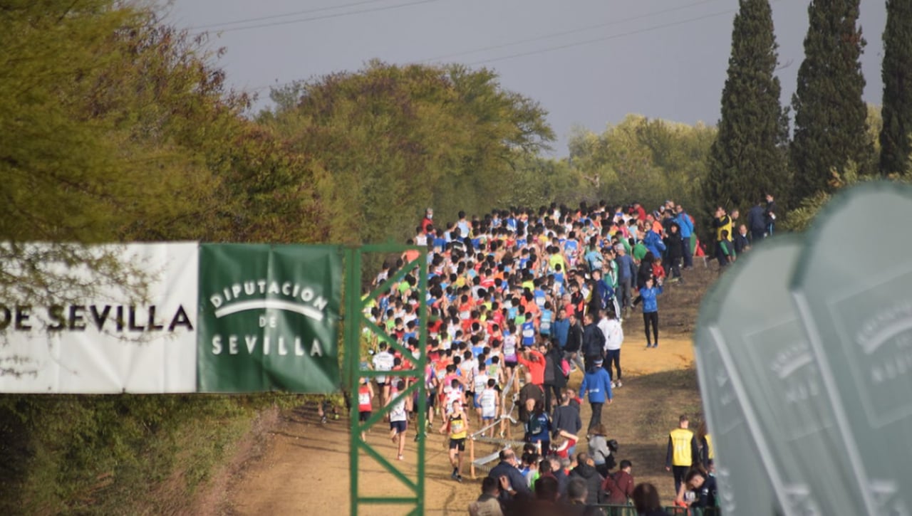 La evolución "imparable" del Cross de Itálica a lo largo de sus 40 años de historia