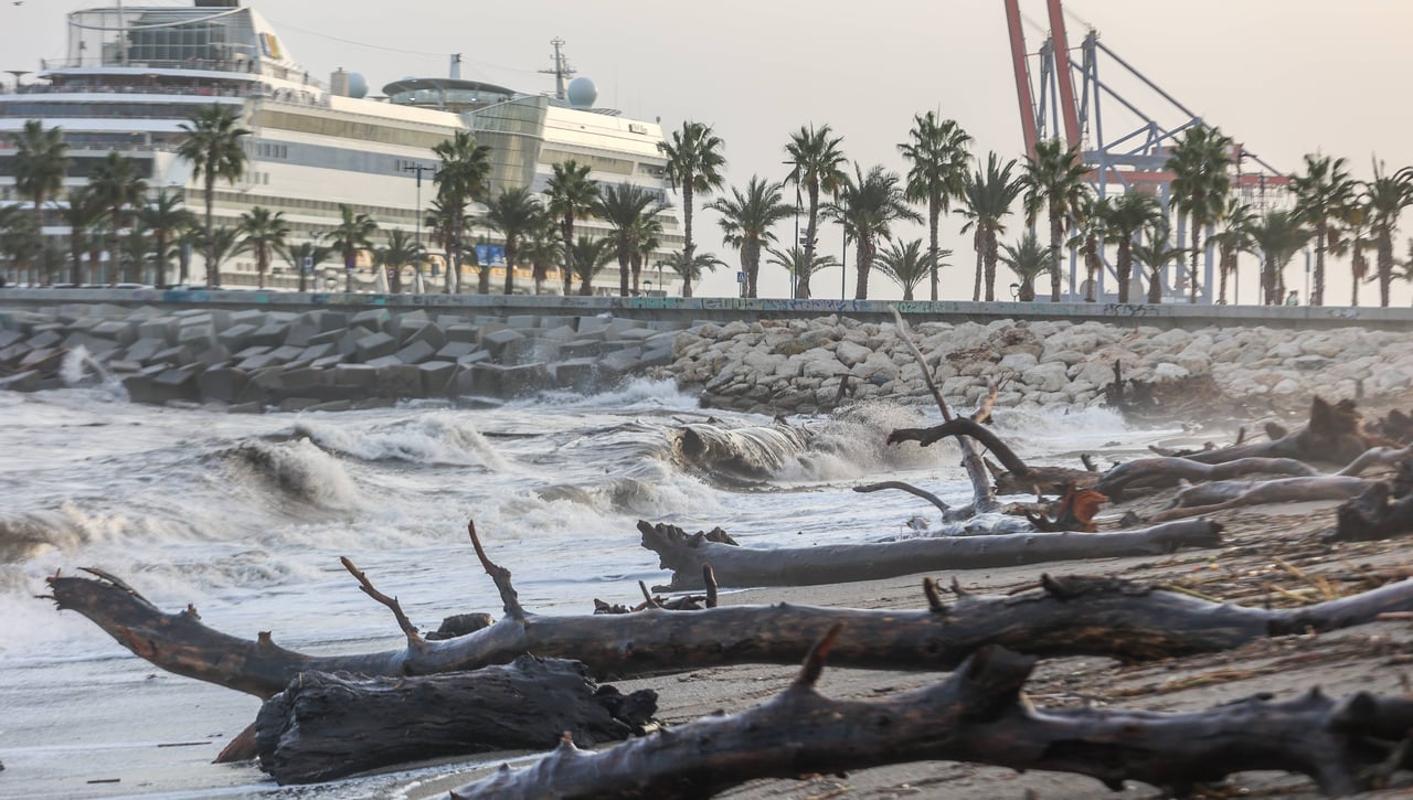 Alerta en las playas del Mediterráneo: el peligroso y desconocido animal con el que hay que tener mucho cuidado