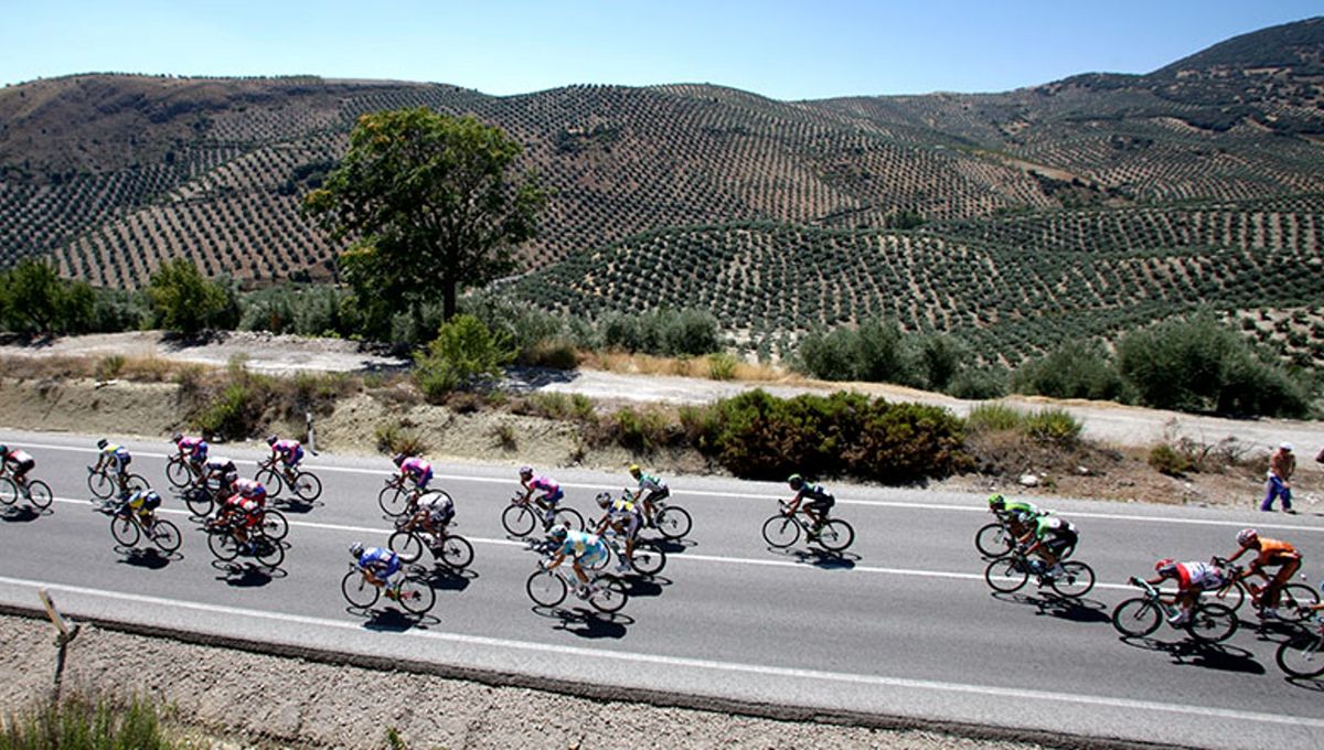 La Junta promocionará Andalucía como destino durante la Vuelta Ciclista a España