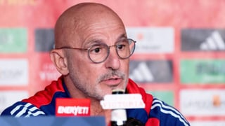 Luis de la Fuente, orgulloso del espíritu de equipo