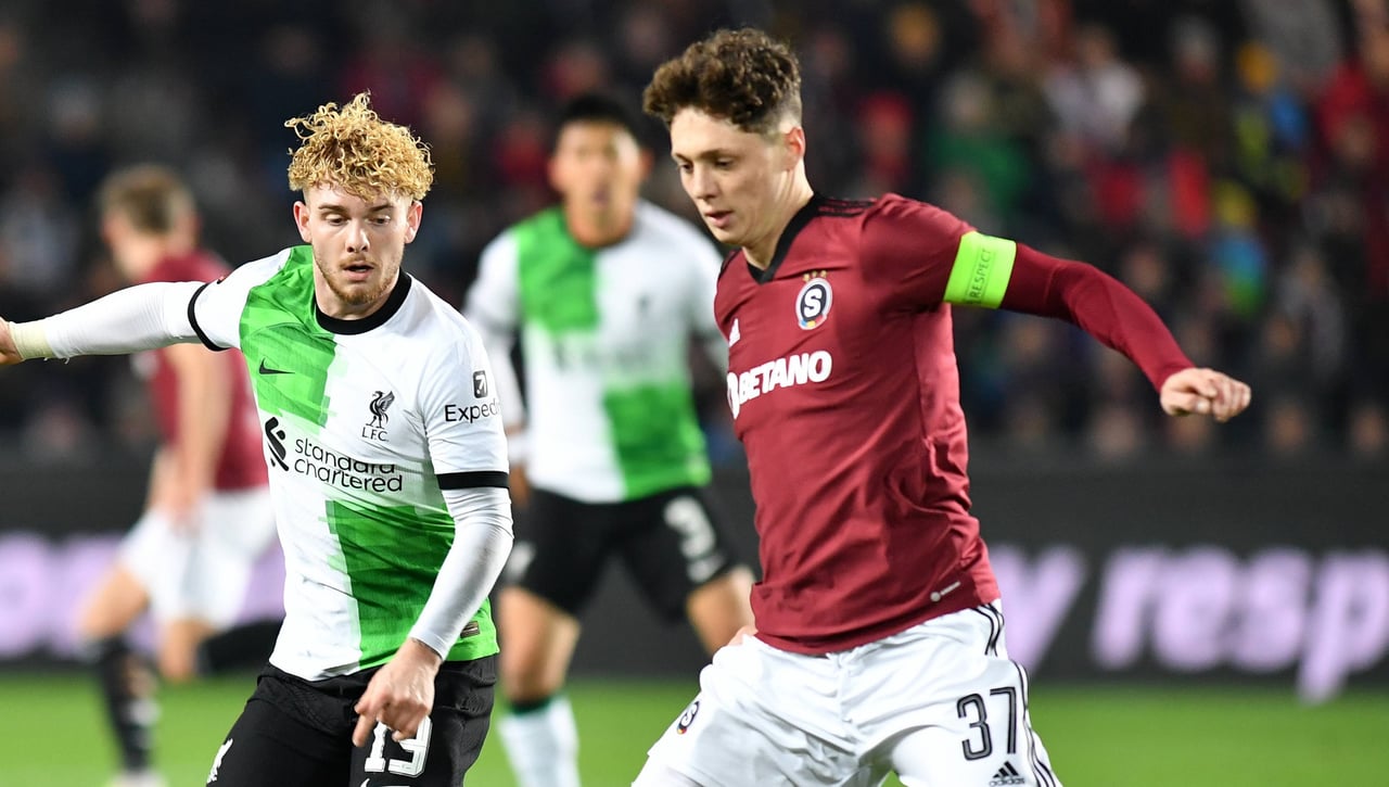 Novedades con Krejci