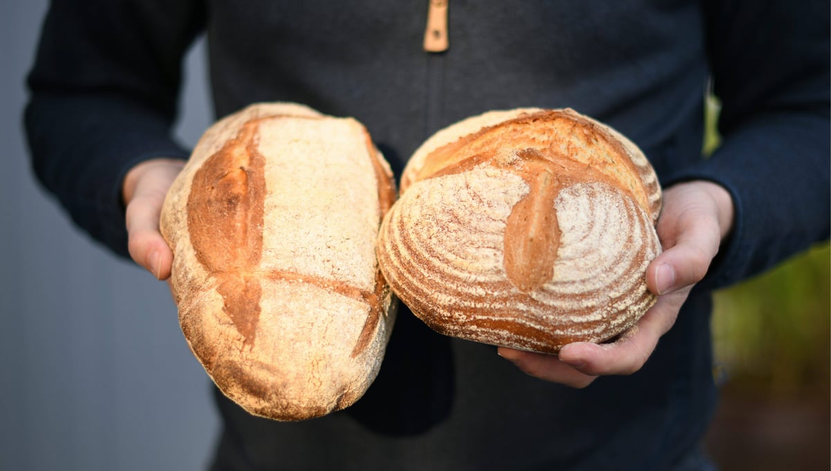 Una experta revela por qué deberías congelar siempre el pan