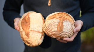 Una experta revela por qué deberías congelar siempre el pan