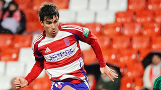 Mazazo para Manu Lama