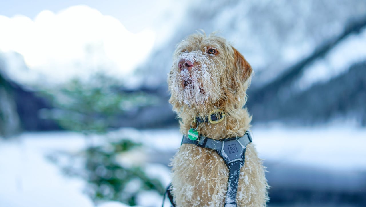¿Qué es un Chorro Polar?: La intensa previsión de frio para el puente más largo del año