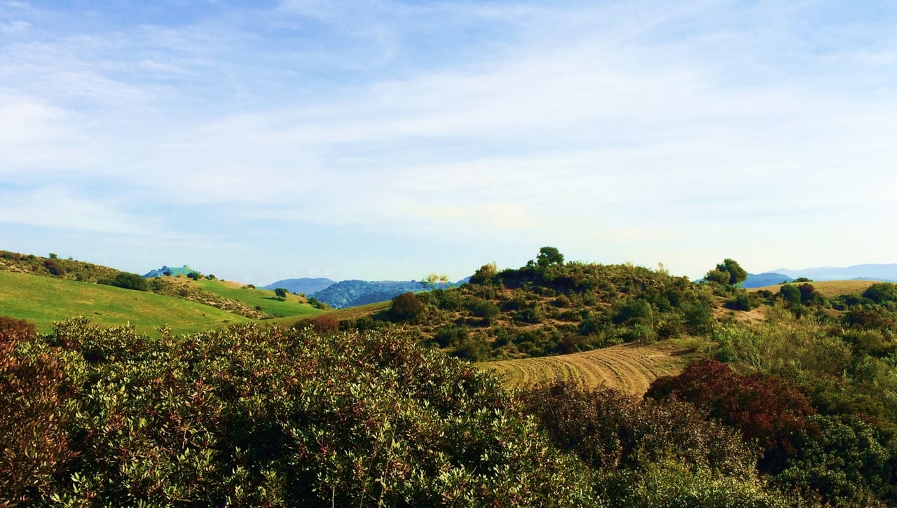 Chacón- Raspapelos: Un sendero donde disfrutar de las vistas de la campiña sevillana en La Puebla de Cazalla