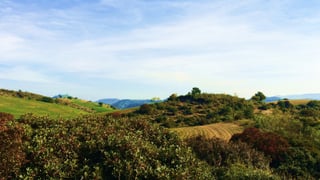 Chacón- Raspapelos: Un sendero donde disfrutar de las vistas de la campiña sevillana en La Puebla de Cazalla