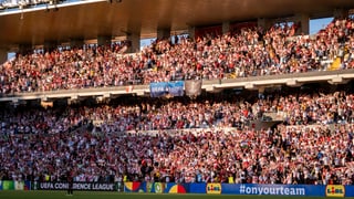 El Rayo toma una medida con el césped de Vallecas