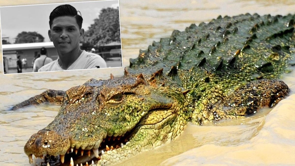 Un cocodrilo se come a un futbolista en Costa Rica