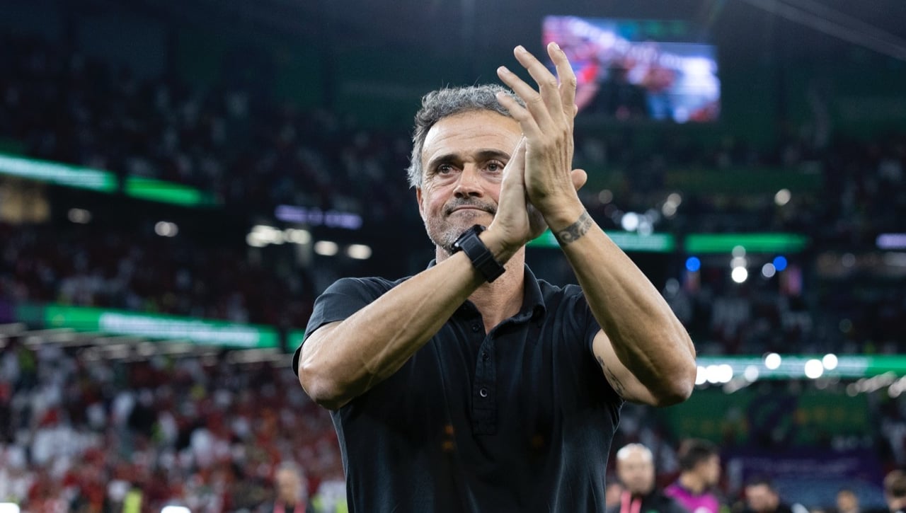 Luis Enrique: "Culpa mía"