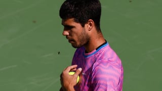 El Alcaraz-Zverev suspendido... ¡por una invasión de abejas!