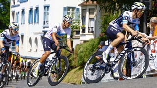 Robo al Movistar Team