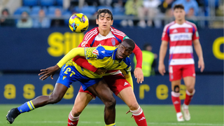 Cádiz y Granada, en mitad del lío
