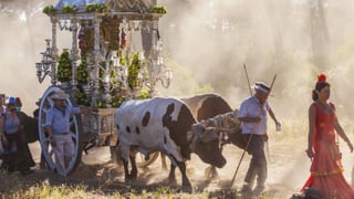 Romería del Rocío 2024: Cuándo es, cómo llegar, nuevas normas y todo lo que hay que saber 