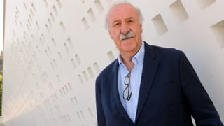 Vicente del Bosque lo deja