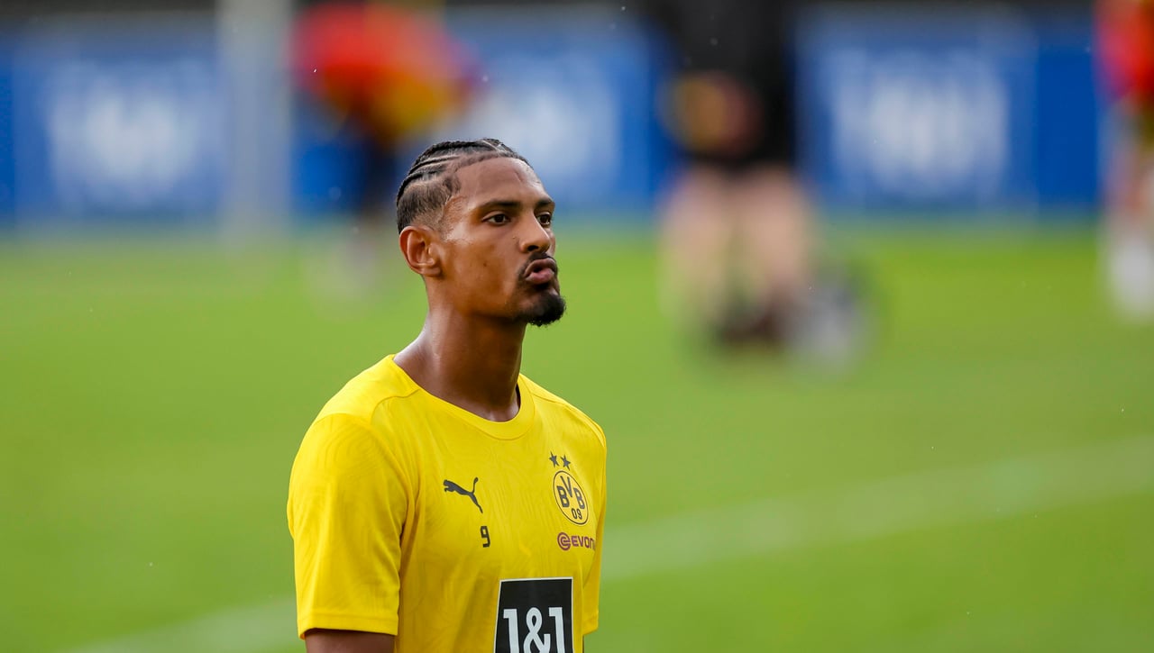 Haller: punto y final