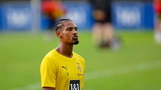 Haller: punto y final