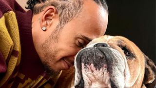 Muere Roscoe, el inseparable compañero de Lewis Hamilton