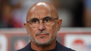 Luis de la Fuente pide perdón