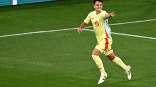 Zubimendi es el culpable