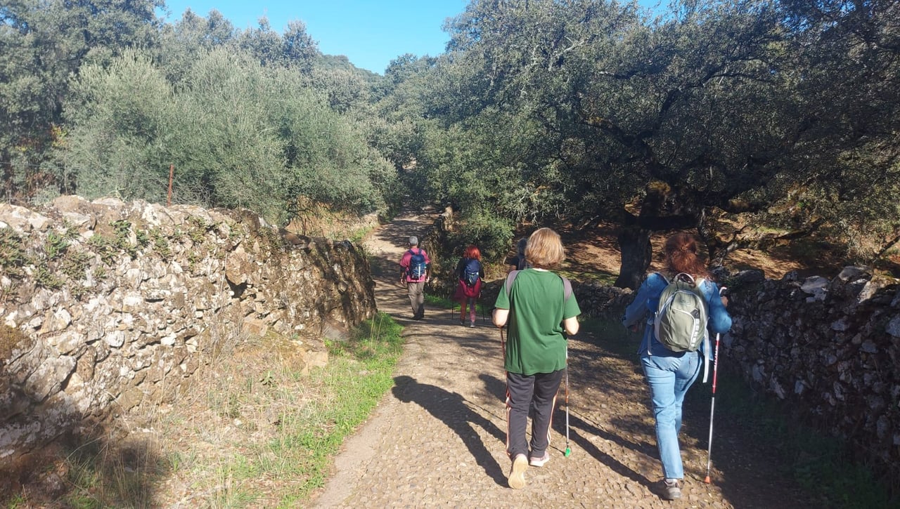 Actividades por el Medio natural para el año 2023