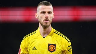 Encarrilado el fichaje de David De Gea