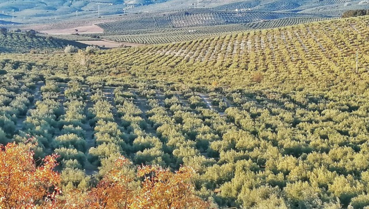 Herrera, lista para una nueva jornada de senderismo entre termas romanas