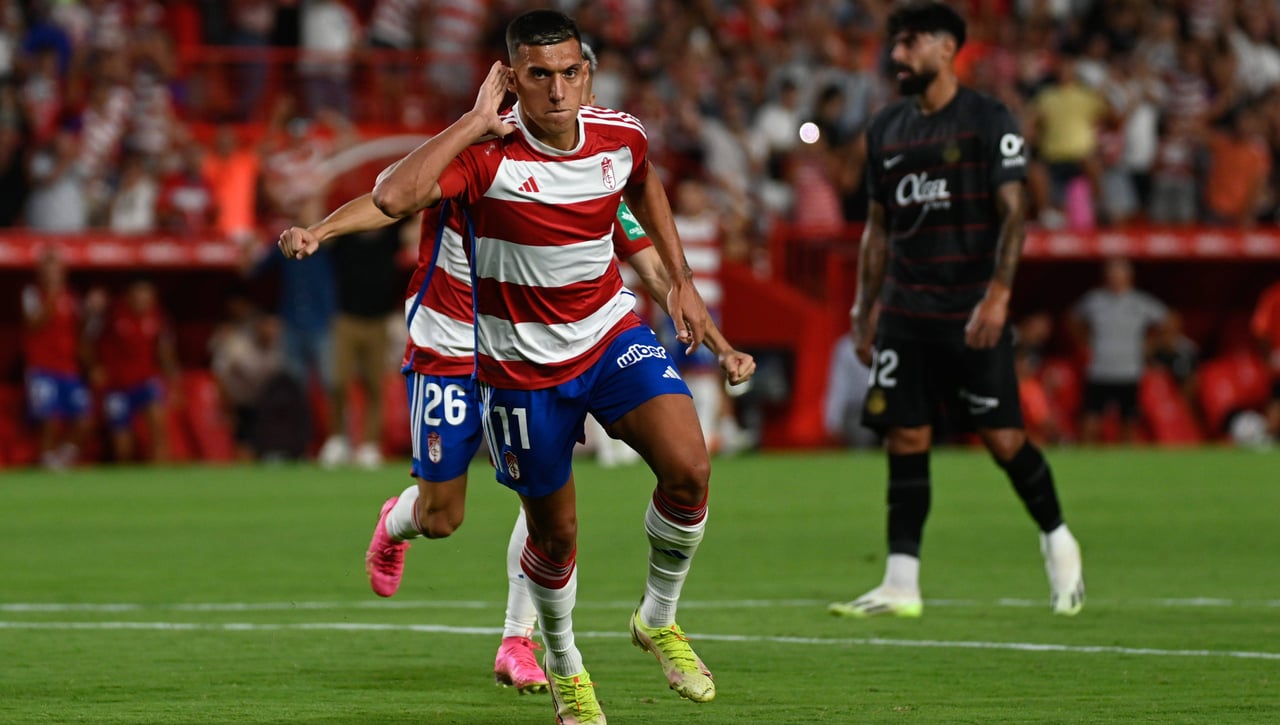 Uzuni dice adiós y el Granada mira el mercado