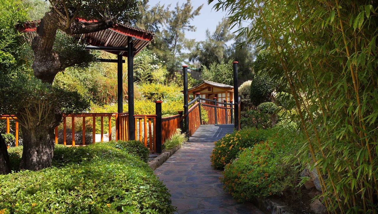 El impresionante jardín botánico español que te sentirás como en Asia