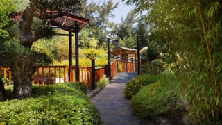 El impresionante jardín botánico español que te sentirás como en Asia