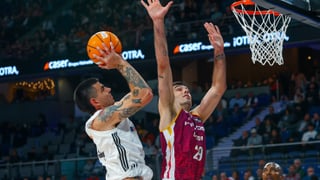 Real Madrid - Alba Berlín : Horario, canal y dónde ver en TV y online el partido de Euroliga