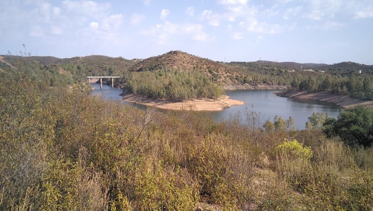 Aznalcóllar - El Álamo: Larga y llevadera travesía por la Vía de La Plata