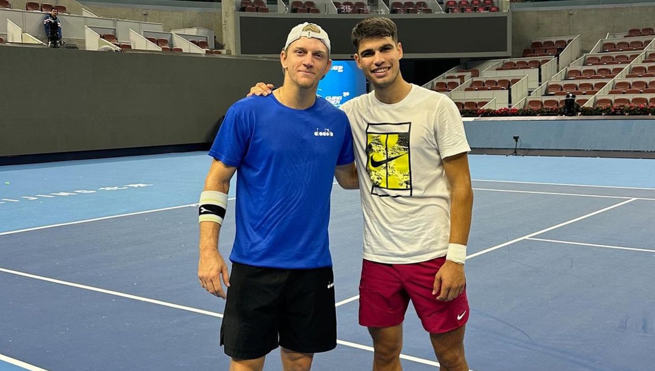 Davidovich, baja sensible en Wimbledon por unos problemas en su espalda