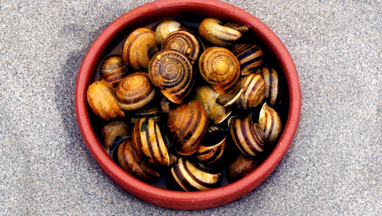 Los mejores caracoles de Sevilla