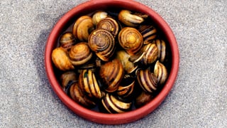 Los mejores caracoles de Sevilla