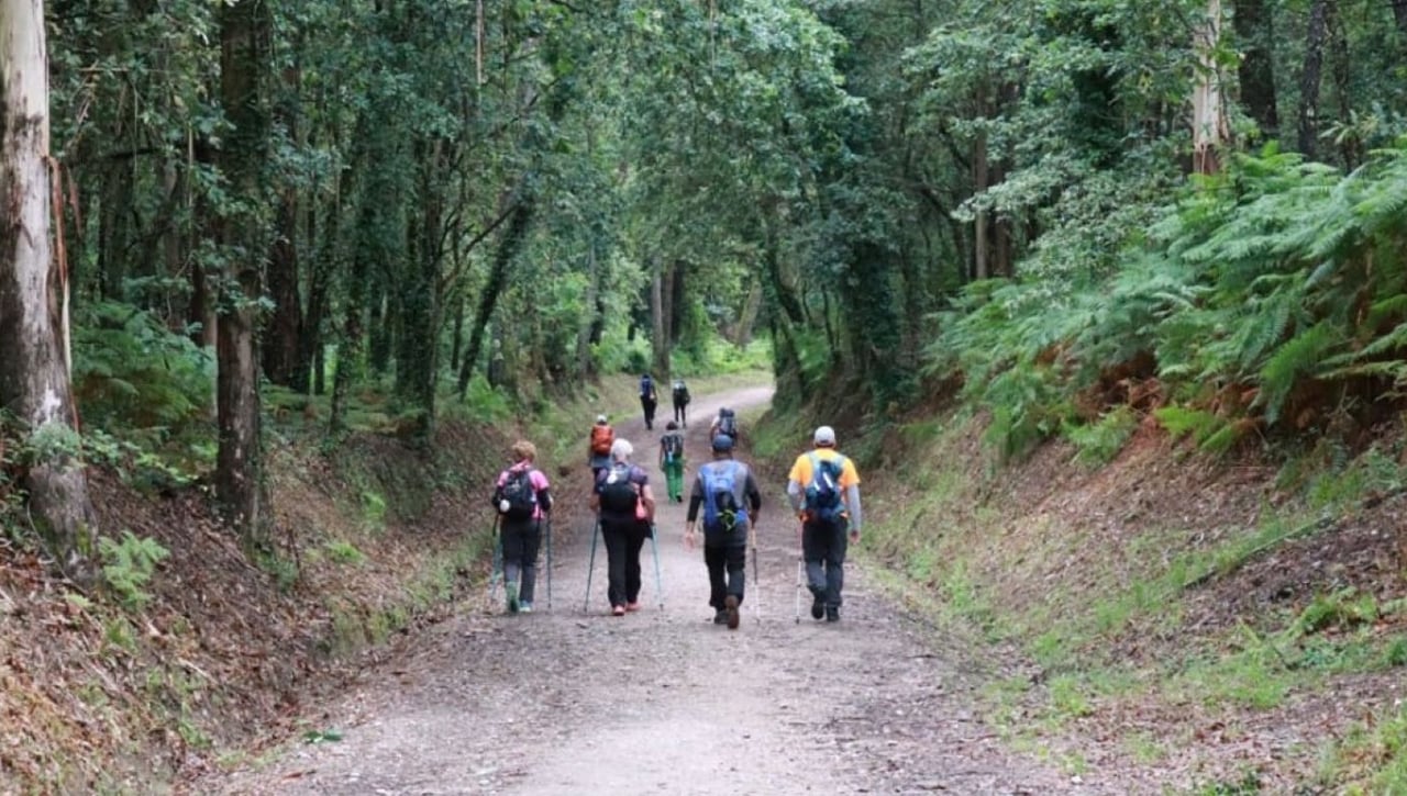 Nueve nuevas rutas para recorrer con la Universidad de Sevilla con su programa de actividades en el medio natural