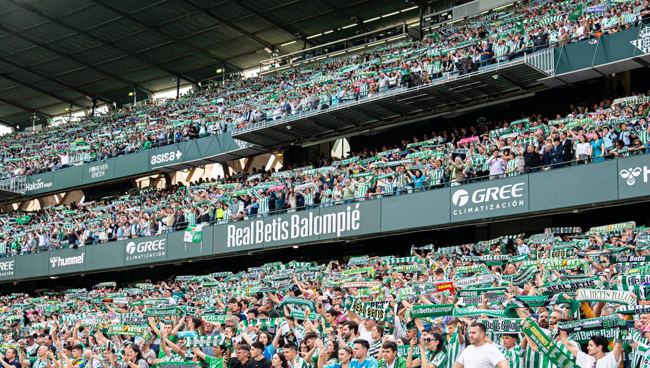 El Betis no demolerá Preferencia hasta que los vencejos acaben su ciclo reproductor