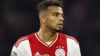 Acuerdo cerrado por Wijndal