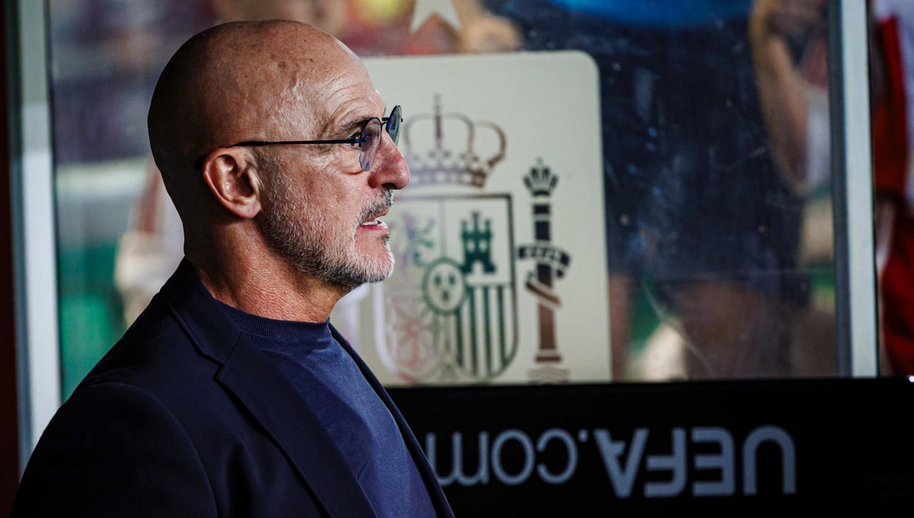 De la Fuente 'ficha' a su hijo para la selección