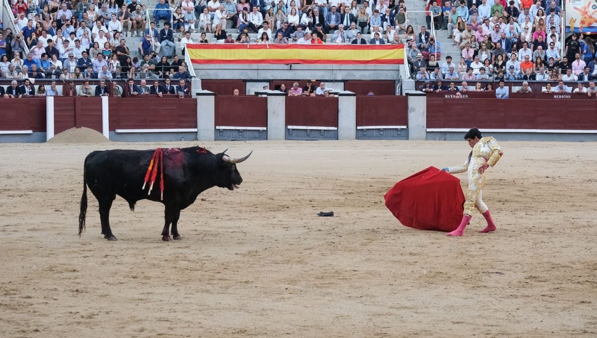 Toros en Madrid, Feria San Isidro 2024: Cartel, calendario y toreros