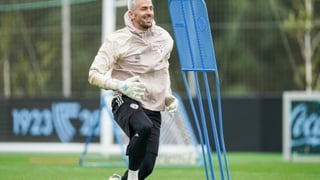 El futuro de Vicente Guaita