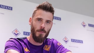 David De Gea, preparado