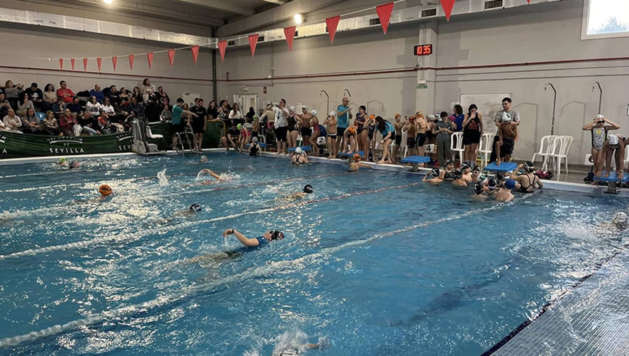 Intensa jornada de natación se vivió este fin de semana en Pilas