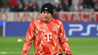 El Villarreal encuentra al sustituto de Pepe Reina