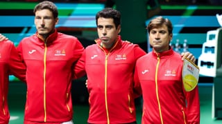 Todas las reacciones de España tras perder la final de la Copa Davis